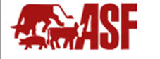 ASF, Sursee
Netzwerkbau, Schulung, Support