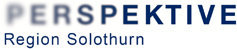 Perspektive, Solothurn
Netzwerkbau, Support (Citrix)